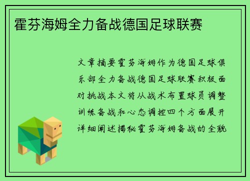 霍芬海姆全力备战德国足球联赛